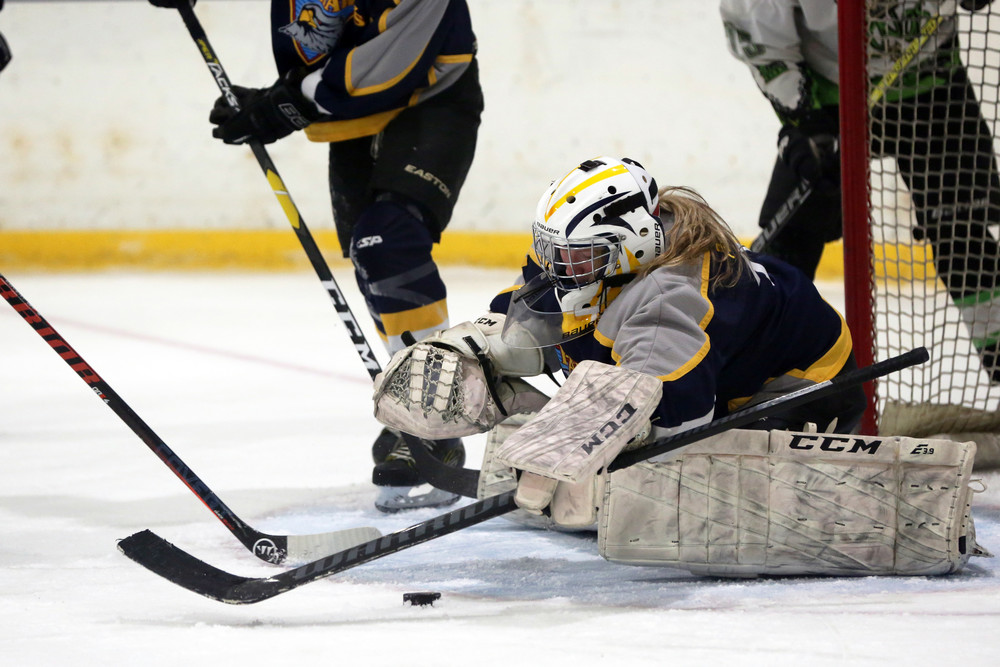 Ice Hawks battled in MAHA state tournament Havre Daily News